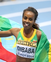 Genzebe Dibaba. World Indoor Champion 2014, Sopot