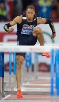 Pascal Martinot-Lagarde. European Bronze Medallist 2014