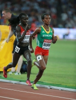 IAAF World Championships 2015, Beijing. Day 3. 10,000 Metres, Final