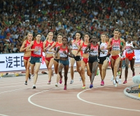 IAAF World Championships 2015, Beijing. Day 5. 3000 Metres Steeplechase. Final