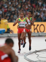 IAAF World Championships 2015, Beijing. Day 9. 5000 Metres. Final