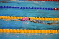 2016 Summer Olympics. Swimming.