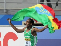 Мухаммед Аман. Чемпион Мира в помещении 2012 (Стамбул) в беге на 800м