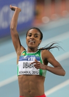 Гензебе Дибаба. Чемпионка Мира в помещении 2012 (Стамбул) в беге на 1500м

