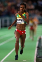 Гензебе Дибаба. Чемпионка Мира в помещении 2016